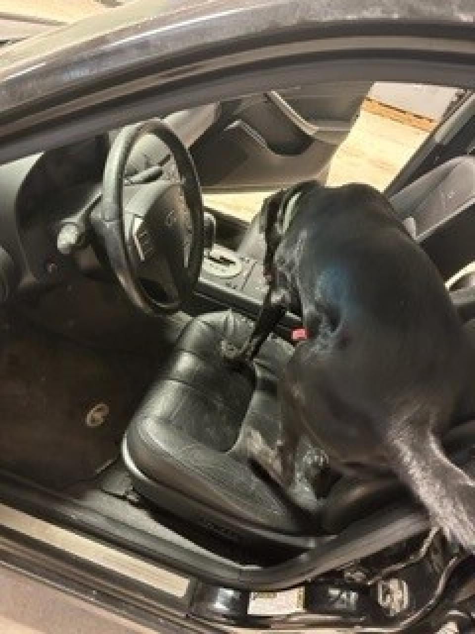 Rev Car_1.jpg